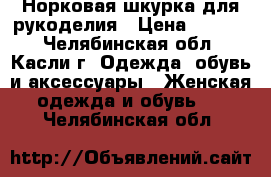 Норковая шкурка для рукоделия › Цена ­ 1 000 - Челябинская обл., Касли г. Одежда, обувь и аксессуары » Женская одежда и обувь   . Челябинская обл.